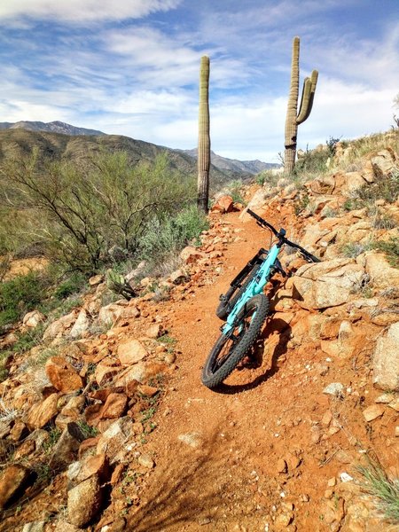 black canyon mountain bike trail