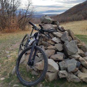 timpanogos bike shop
