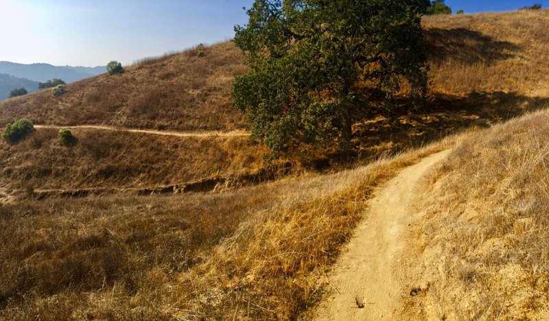 Pacheco Falls Loop