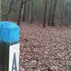 Intersection of P-A-K on the mountain bike trails in the Allegan State Game Area.