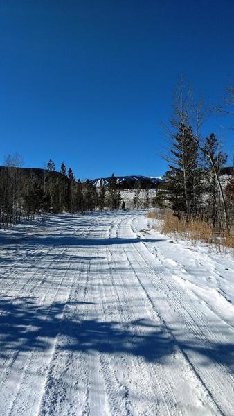 Looking west on Haul Rd, part of the winter grooming pilot program.