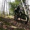 This might become one of your favorite trails.