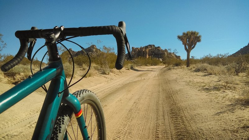 bikepacking joshua tree