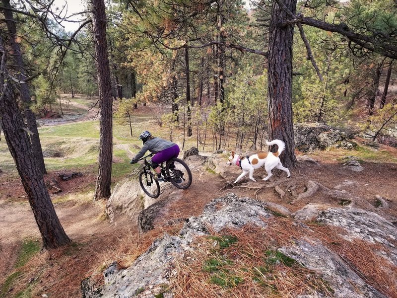 Top of DH course, Bomber.