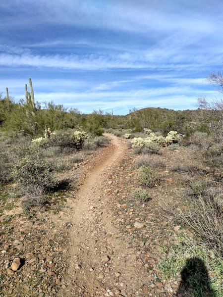 Flow trail section with gravel tread