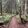 Bridge along the Grand Ridge Trail.