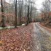 Unusually high water in Guthrie Creek along Pine Log Gap Road (December 2018)