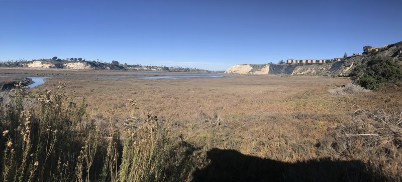 Along the reserve.