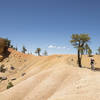 Desert Biking on Rich Trail.