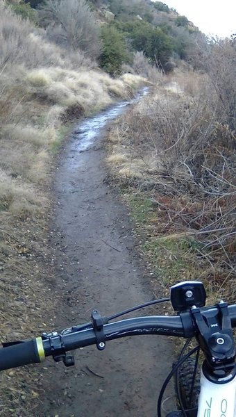 Pack Memorial MTB Trail