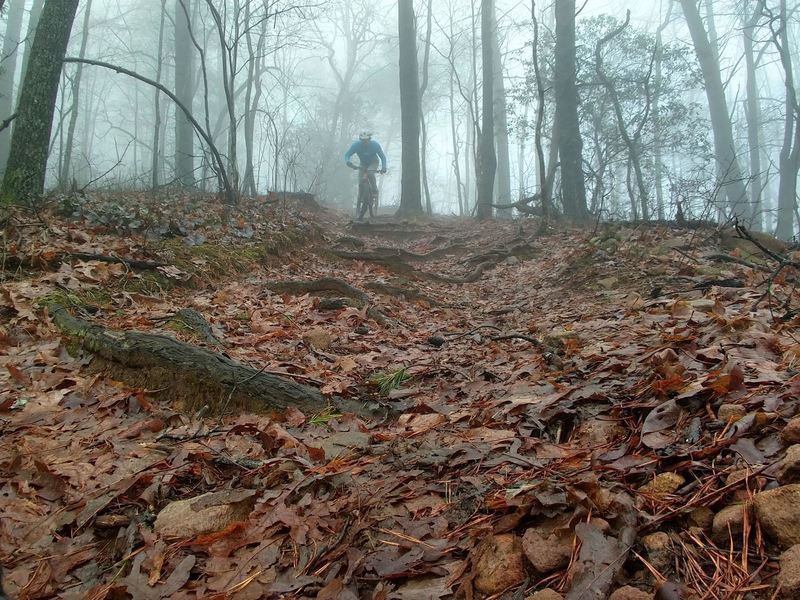 Stanley Gap Loop Mountain Bike Trail, Blue Ridge, Georgia