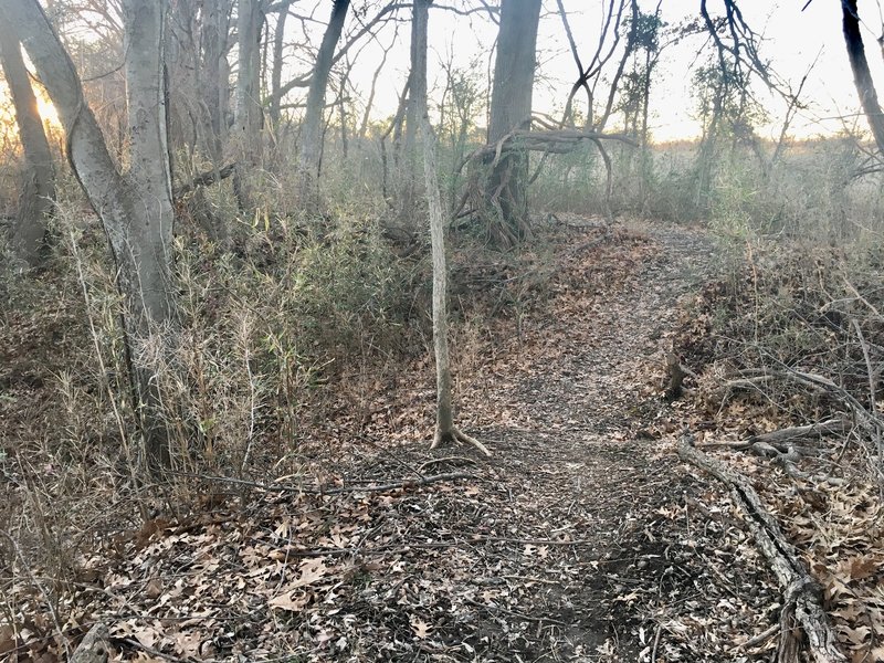 JeanPierre Chouteau Trail Mountain Bike Trail, Fort Gibson, Oklahoma