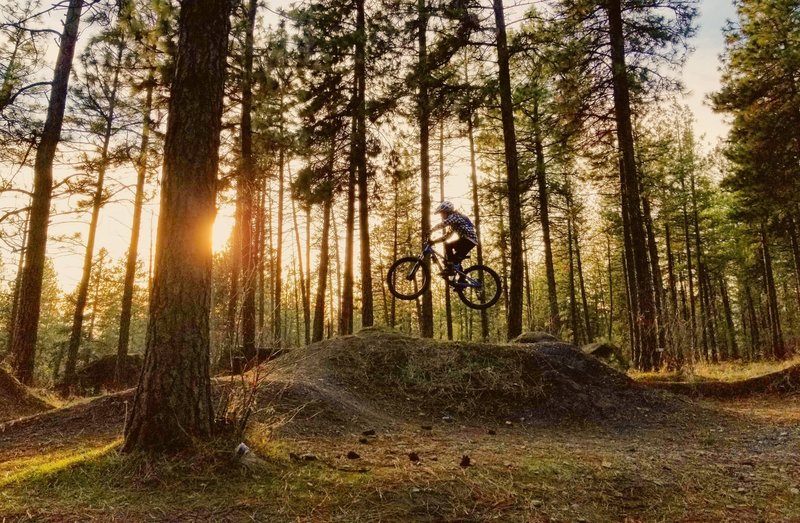 Gravity line.