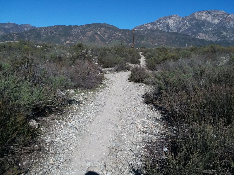 Cucamonga Creek Singletrack Trail