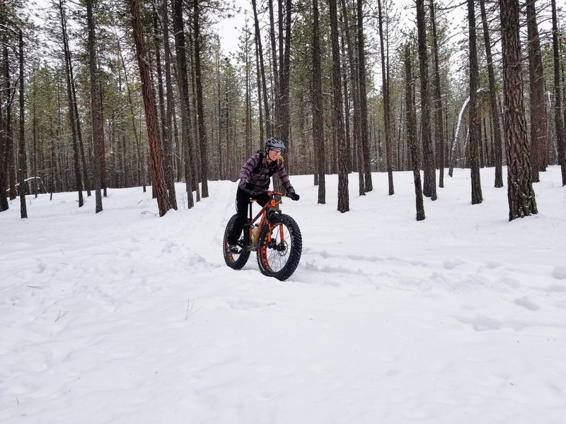 Trail 212