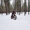 Groomed singletrack for fat biking at Riverside State Park.