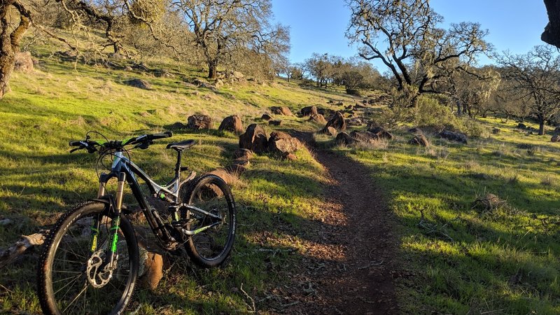 annadel state park mountain biking