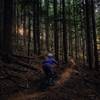 Chasing the light on the Goods
