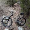 Now that's a trail!