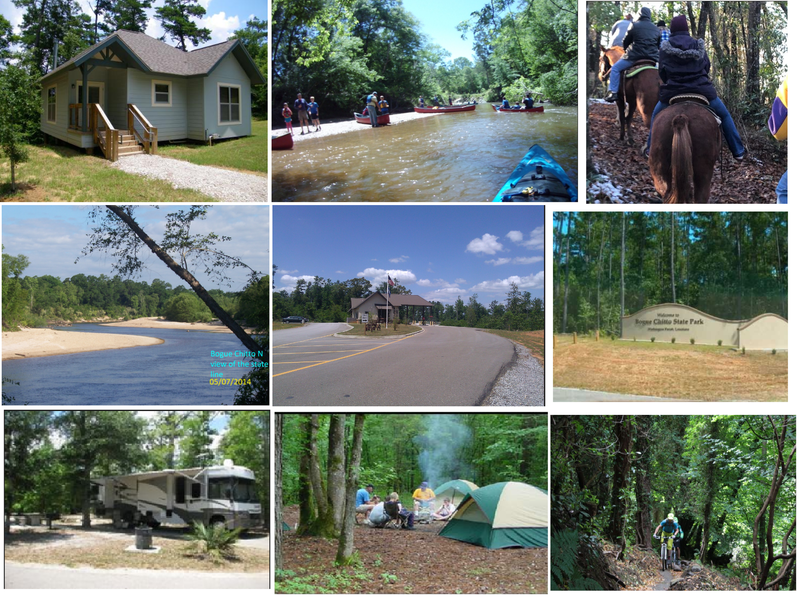 Bogue Chitto State Park Activities Mountain Biking, Hiking, trail
