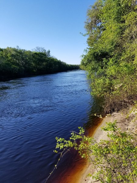 Anderson Springs Main Loop Mountain Bike Trail, Live Oak, Florida