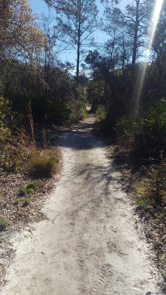 Start of the trail - doubletrack, sandy
