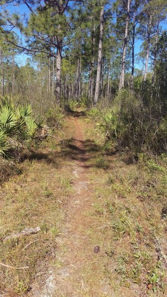 more trail!