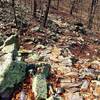 An example of one of the many rock gardens on Blowout Mountain