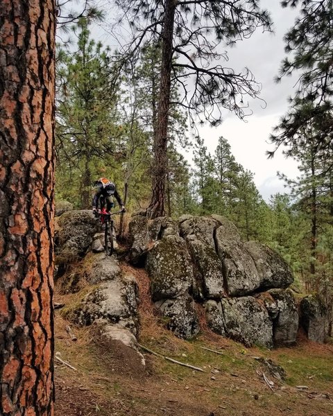 Rock slab on Kessel Run