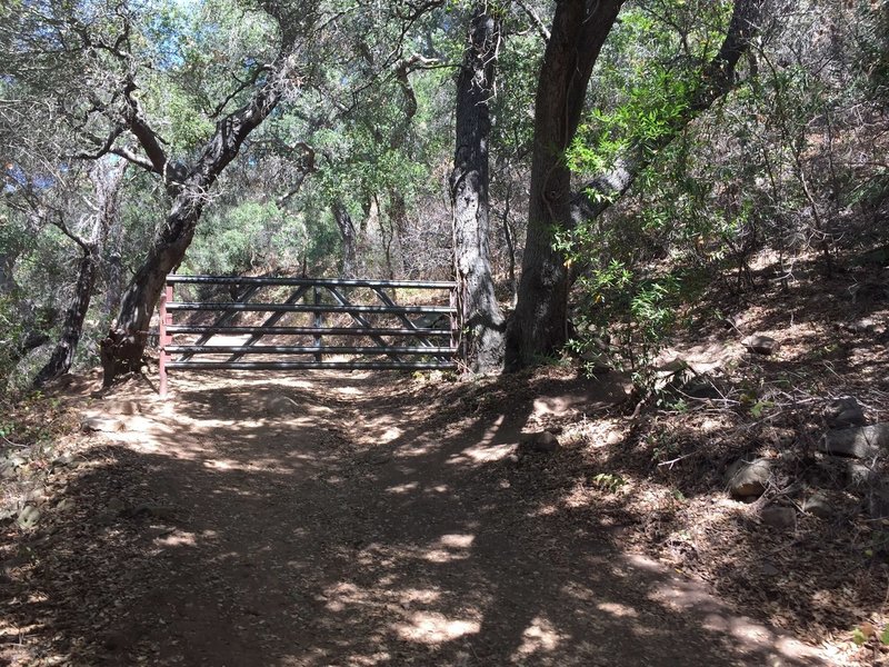 Gaviota Peak - Trespass DH