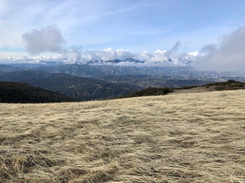 Liebre Mountain Loop