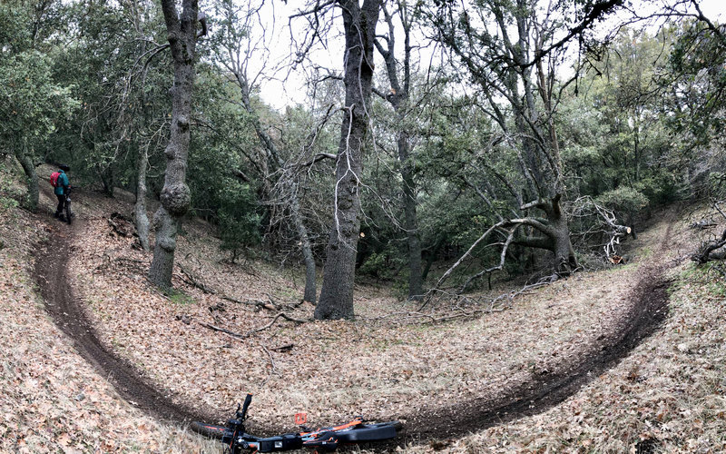 Golden Eagle Trail