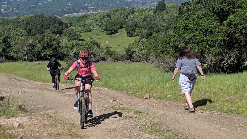 Great trail for those just starting out. Not technical, gentle climbs and descents.