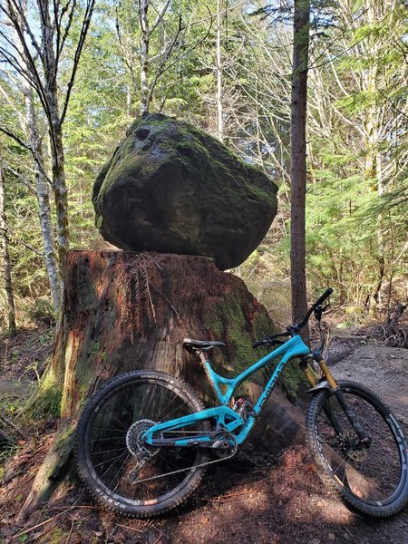Raging Ridge Trail