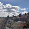 Top of the Mesa. Blue skies, scrub and a good trail.