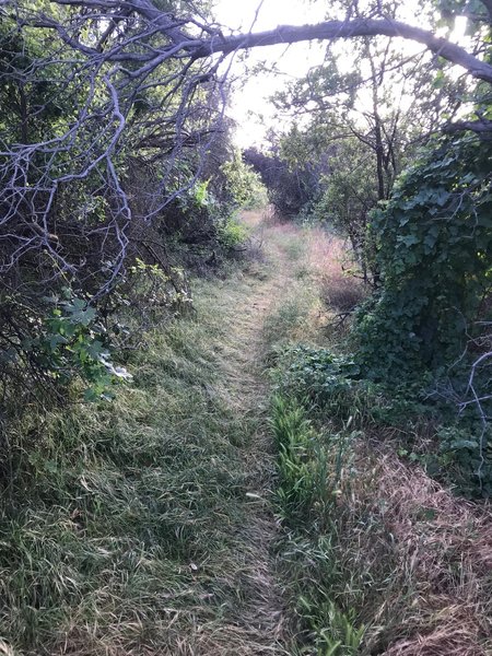 U-Capa Trail