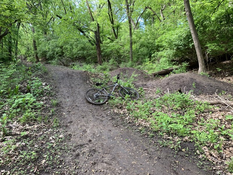 horns high mountain biking