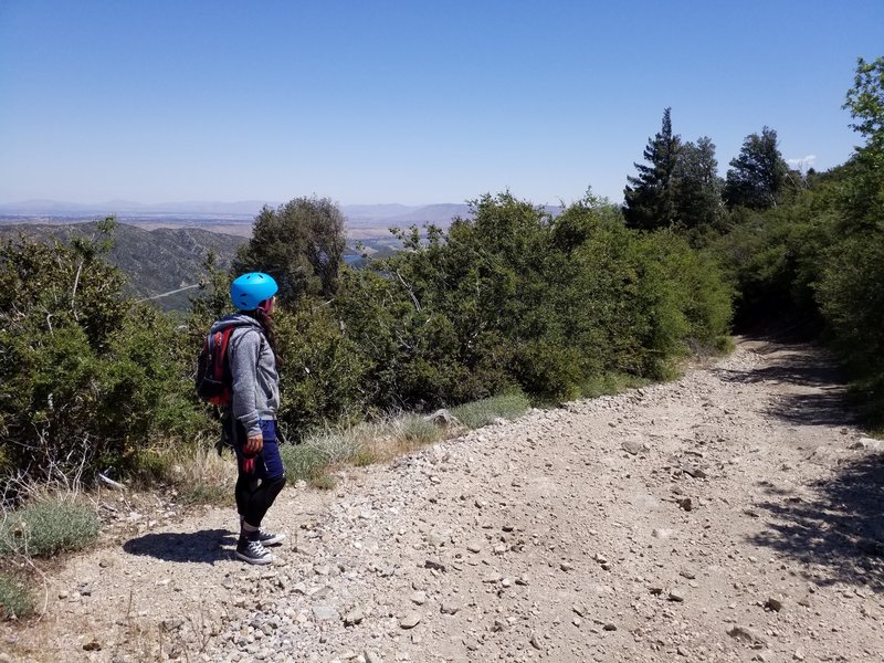 Sugarpine Mountain Drop, North Side via Powerline Rd