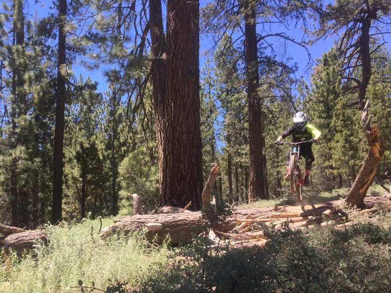 log X-ing