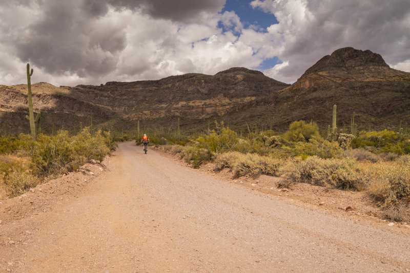 An easy gravel road leads up into the Ajo Mountain Range