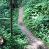 Section of a trail