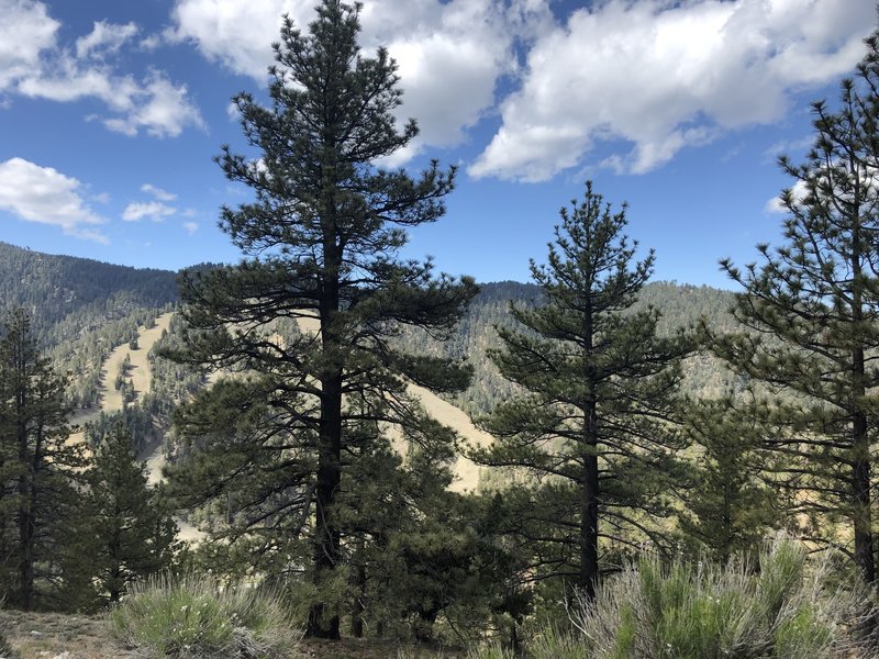 Another view of Mountain High Ski Resort taken from the trail.
