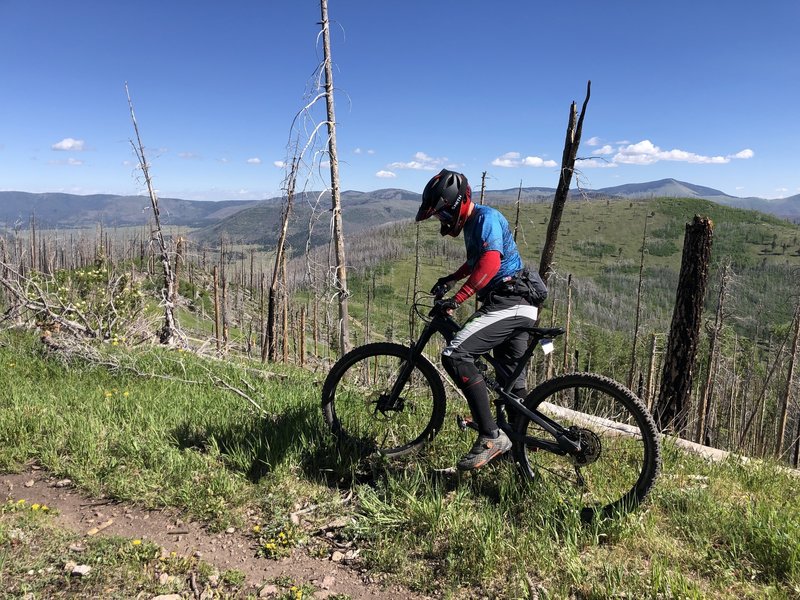 pajarito bike park