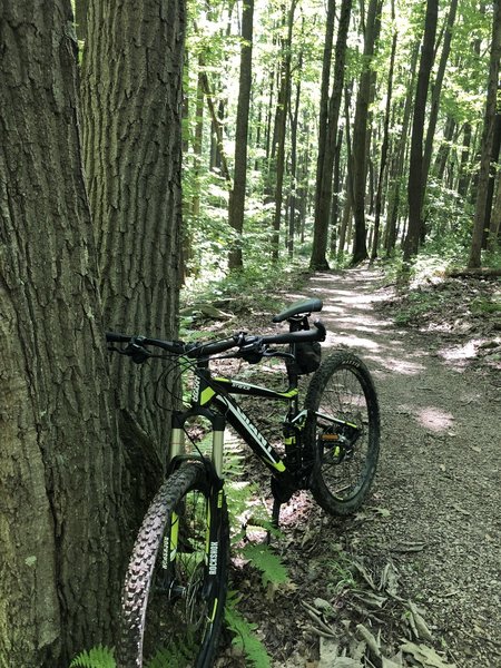 rock mountain bike