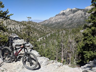 mountain bike mount