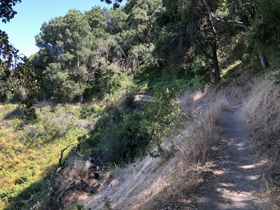 Seven Springs Loop Trail Mountain Bike Trail, Saratoga, California