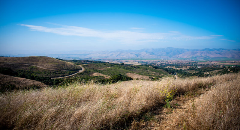 View from top of Solomon trail