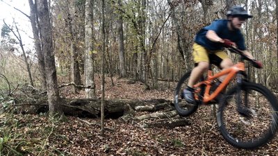 Mountain Bike Trails near San Felasco 