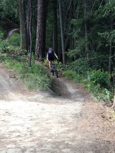 Headed downhill at intersection with Rosie's Boa