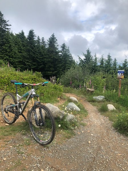 Summit Trailhead